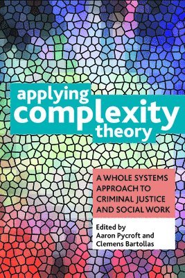 bokomslag Applying Complexity Theory