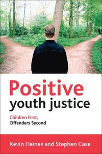 bokomslag Positive Youth Justice