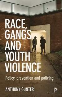 bokomslag Race, Gangs and Youth Violence