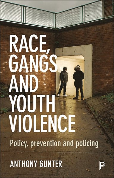 bokomslag Race, Gangs and Youth Violence