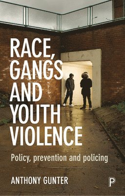 Race, Gangs and Youth Violence 1