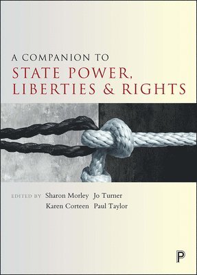 bokomslag Companion to State Power, Liberties and Rights
