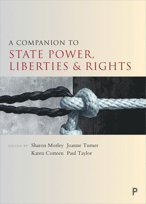 A Companion to State Power, Liberties and Rights 1