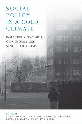 bokomslag Social Policy in a Cold Climate