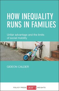 bokomslag How Inequality Runs in Families