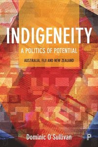 bokomslag Indigeneity: A Politics of Potential