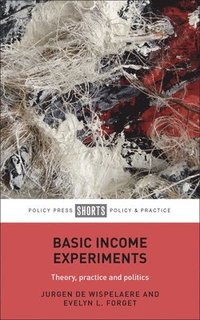 bokomslag Basic Income Experiments