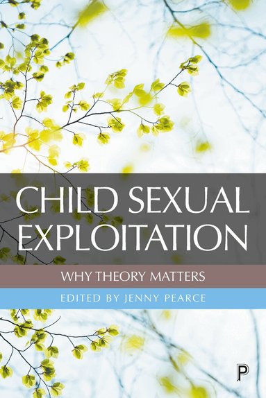 Jenny Pearce - Child Sexual Exploitation: Why Theory Matters, Häftad
