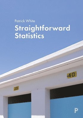 bokomslag Straightforward Statistics