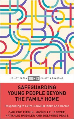 bokomslag Safeguarding Young People Beyond the Family Home
