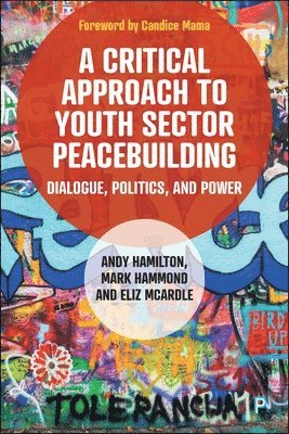 bokomslag A Critical Approach to Youth Sector Peacebuilding