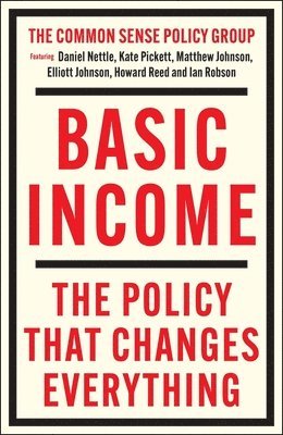 bokomslag Basic Income