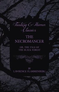 bokomslag The Necromancer