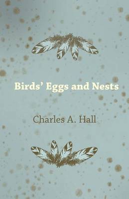 bokomslag Birds' Eggs and Nests