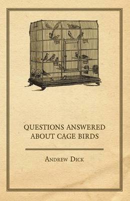 Questions Answered About Cage Birds 1