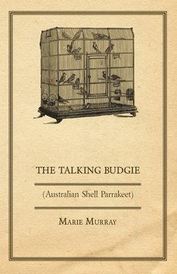 The Talking Budgie 1