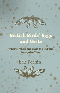 bokomslag British Birds' Eggs and Nests - Where, When and How to Find and Recognise Them