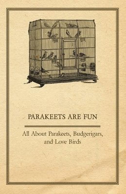 Parakeets are Fun - All About Parakeets, Budgerigars, And Love Birds 1