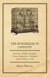bokomslag The Budgerigar in Captivity - Housing, Feeding, Breeding, Colour Production, Exhibition and Teaching to Talk