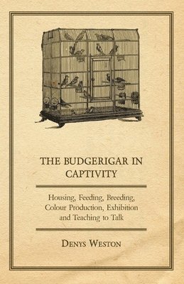 The Budgerigar in Captivity - Housing, Feeding, Breeding, Colour Production, Exhibition and Teaching to Talk 1