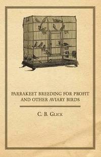 bokomslag Parrakeet Breeding for Profit and Other Aviary Birds