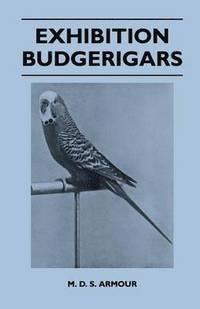 bokomslag Exhibition Budgerigars