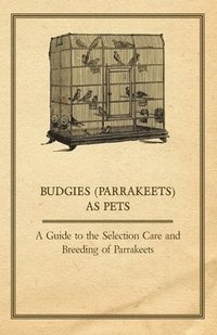 bokomslag Budgies (Parrakeets) as Pets - A Guide to the Selection Care and Breeding of Parrakeets