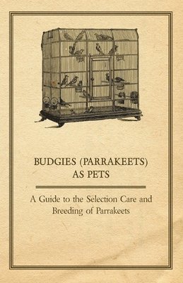 bokomslag Budgies (Parrakeets) as Pets - A Guide to the Selection Care and Breeding of Parrakeets