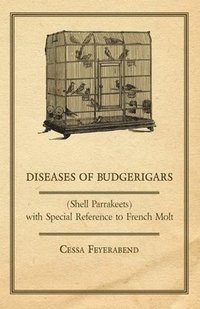 bokomslag Diseases of Budgerigars