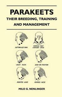 bokomslag Parakeets - Their Breeding, Training and Management