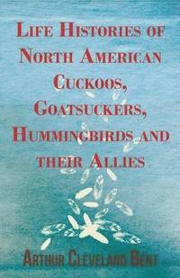 bokomslag Life Histories of North American Cuckoos, Goatsuckers, Hummingbirds and Their Allies