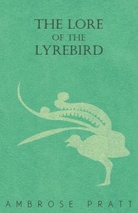 bokomslag The Lore of the Lyrebird