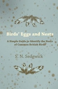 bokomslag Birds' Eggs and Nests - A Simple Guide to Identify the Nests of Common British Birds