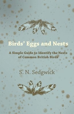 bokomslag Birds' Eggs and Nests - A Simple Guide to Identify the Nests of Common British Birds