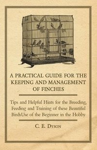 bokomslag A Practical Guide for the Keeping and Management of Finches - Tips and Helpful Hints for the Breeding, Feeding and Training of These Beautiful Birds