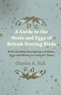 bokomslag A Guide to the Nests and Eggs of British Nesting Birds - With Detailed Descriptions of Nests, Eggs, and Where to Look for Them