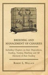 bokomslag Breeding and Management of Canaries - Including Chapters on, Their Dispositions, Feeding, Nesting, Hatching and All Elements of Their Feeding