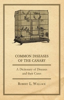 bokomslag Common Diseases of the Canary - A Dictionary of Diseases and Their Cures