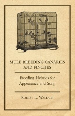 bokomslag Mule Breeding Canaries and Finches - Breeding Hybrids for Appearance and Song