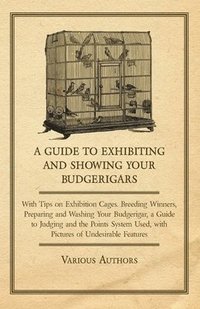 bokomslag A Guide to Exhibiting and Showing Your Budgerigars - With Tips on Exhibition Cages. Breeding Winners, Preparing and Washing Your Budgerigar, a Guide to Judging and the Points System Used, with