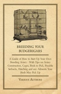 bokomslag Breeding Your Budgerigars - A Guide of How to Start Up Your Own Breeding Aviary - With Tips on Aviary Construction, Cages, Birds to Pick, Possible Setbacks, Hatching and Any Ailments Your Birds May