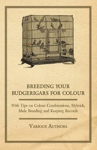 bokomslag Breeding Your Budgerigars for Colour - With Tips on Colour Combinations, Hybrids, Mule Breeding and Keeping Records