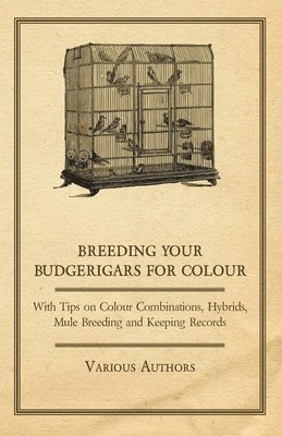 Breeding Your Budgerigars for Colour - With Tips on Colour Combinations, Hybrids, Mule Breeding and Keeping Records 1