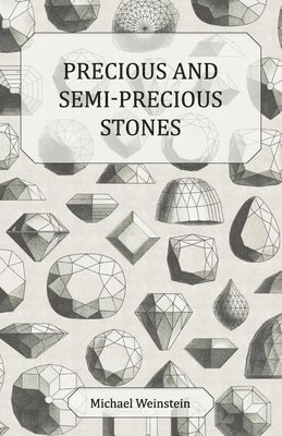 Michael Weinstein - Precious and Semi-Precious Stones, Häftad