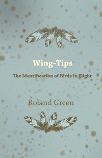 bokomslag Wing-Tips - The Identification of Birds in Flight