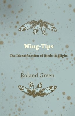 bokomslag Wing-Tips - The Identification of Birds in Flight