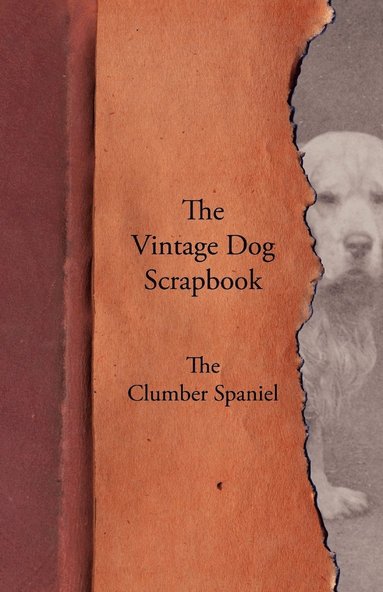 bokomslag The Vintage Dog Scrapbook - The Clumber Spaniel