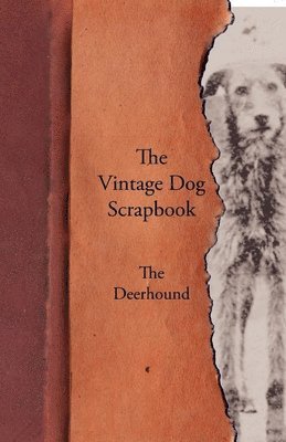 Vintage Dog Scrapbook - The Deerhound 1