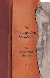 bokomslag The Vintage Dog Scrapbook - The Doberman Pinscher
