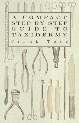 A Compact Step by Step Guide to Taxidermy 1